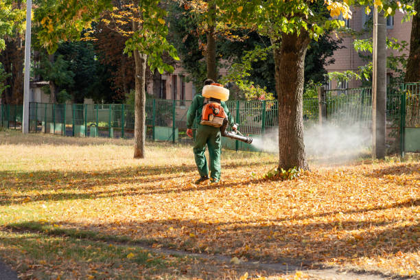 Best Rodent Control Near Me  in Union, MS